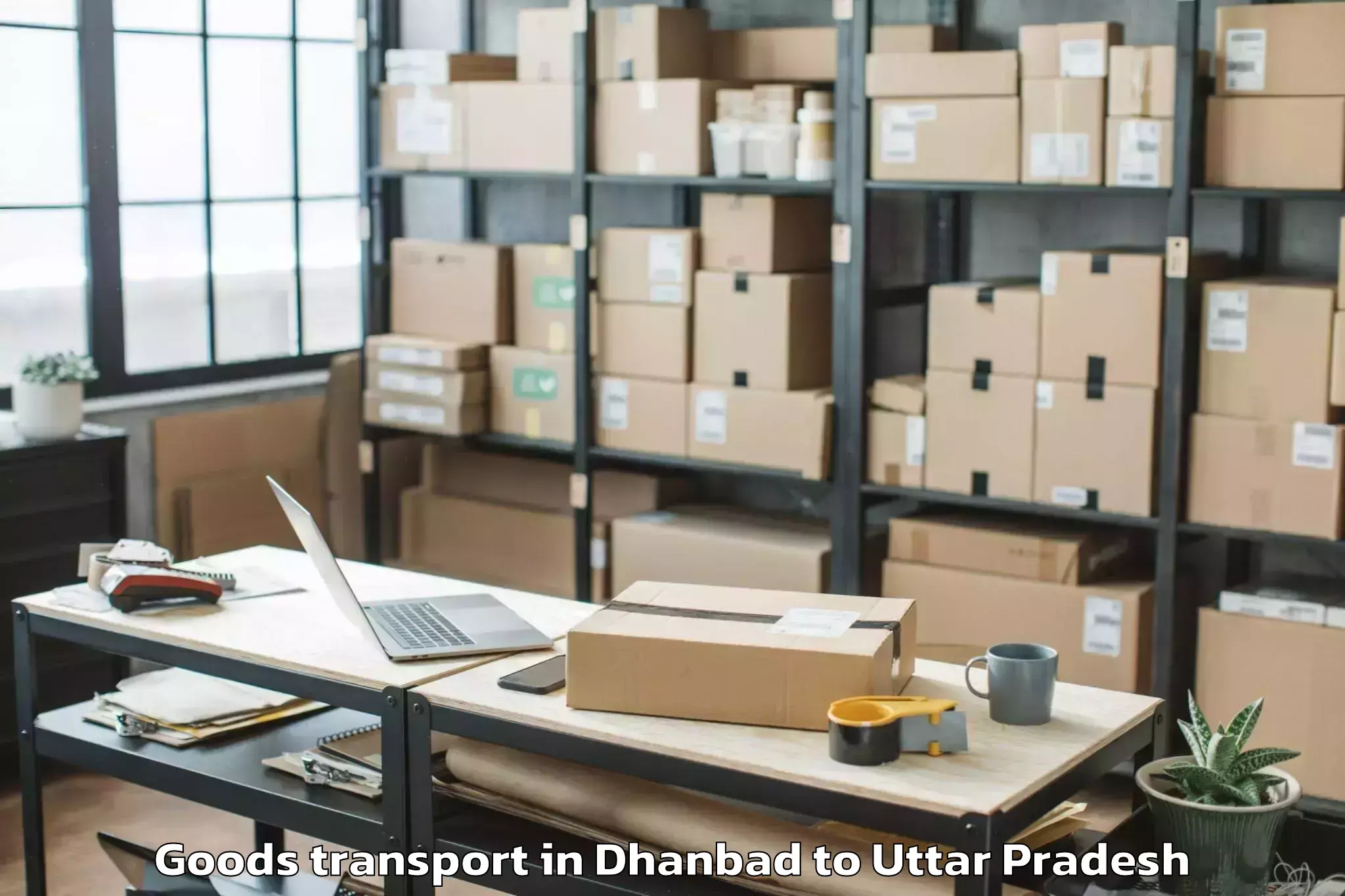 Expert Dhanbad to Bhiti Goods Transport